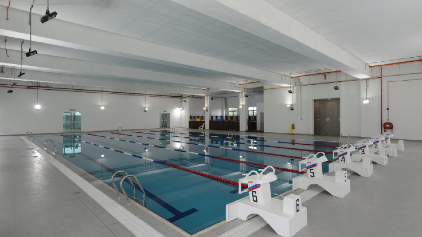 スイミングプール