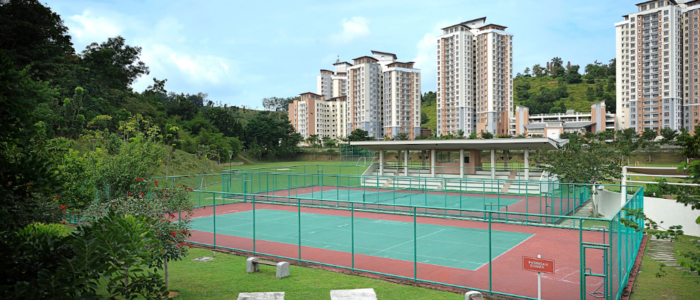 Nexus_Court